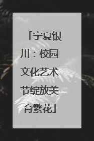宁夏银川：校园文化艺术节绽放美育繁花